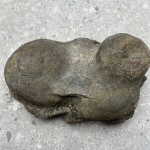 Natural Limestone Rock With Concretions  Picked From Natural Creekbed Offgrid TN